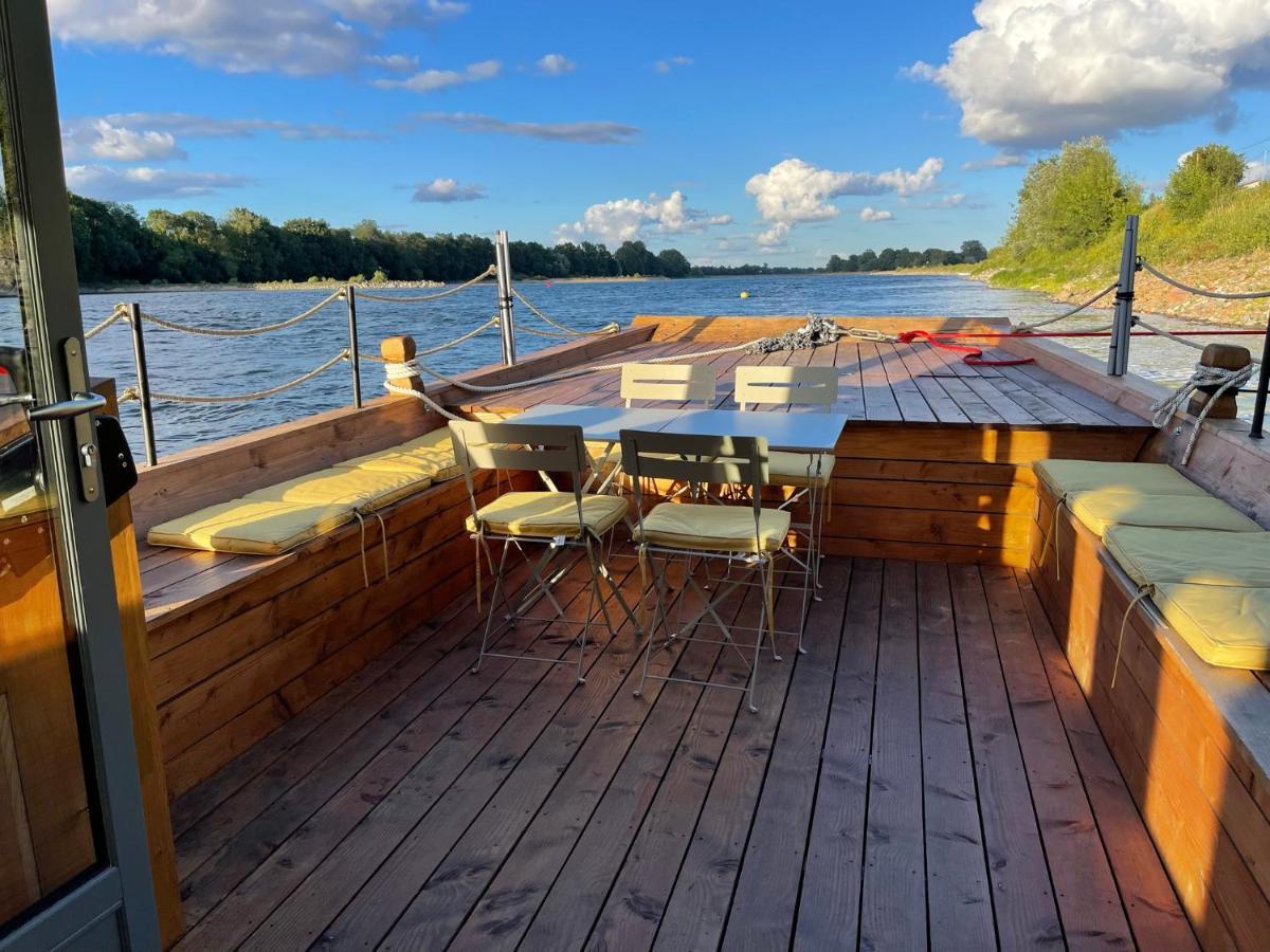 Maisons Au Bord De La Loire - Maison Paradis & Maison Bonheur Au 248 Riverside Le Fosse-Neuf Экстерьер фото